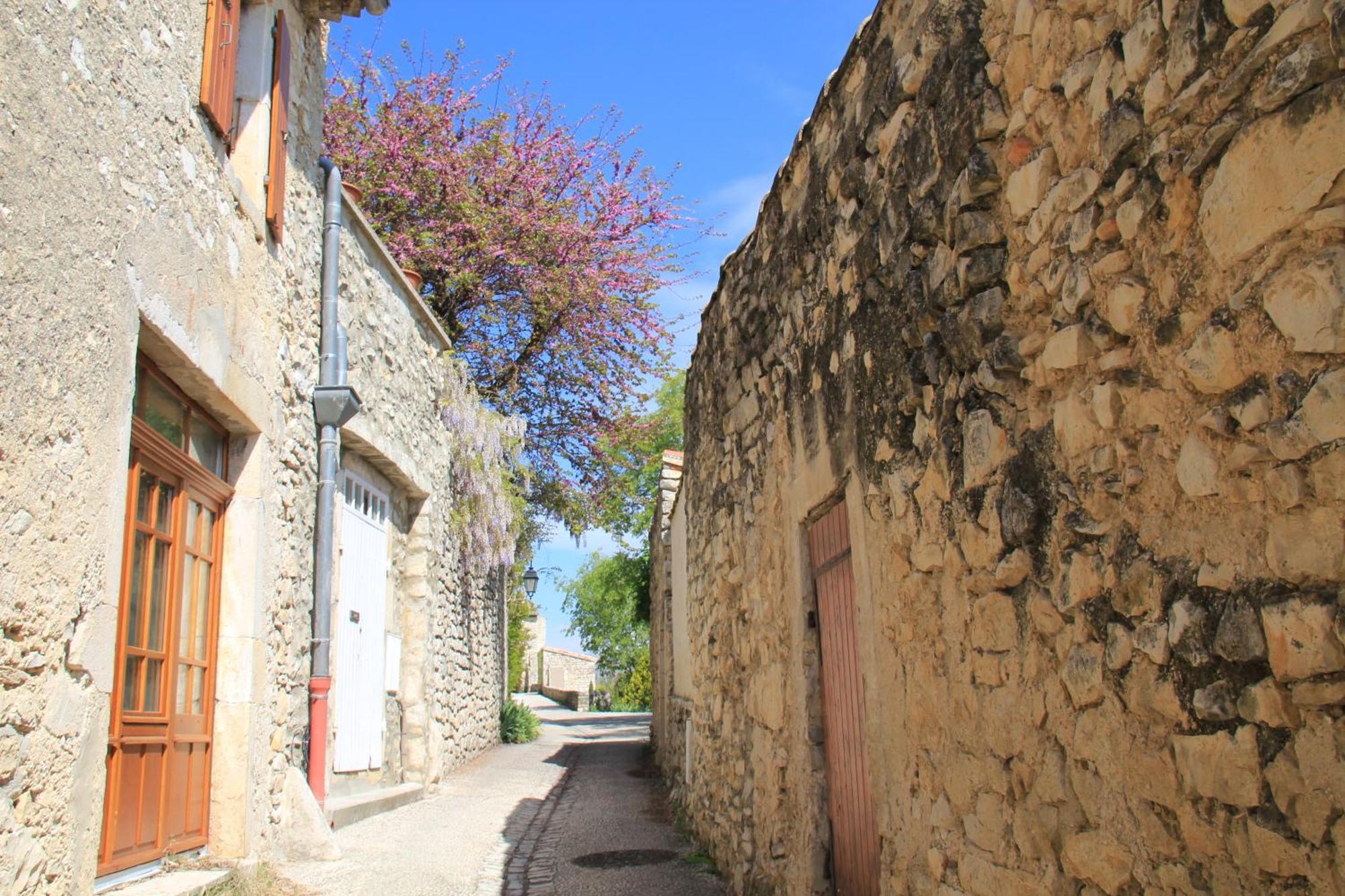 La Colombiere - Vue Imprenable Sur L'Ardeche - Tres Calme - Tres Bien Situe - Residence Privee Montélimar Eksteriør billede