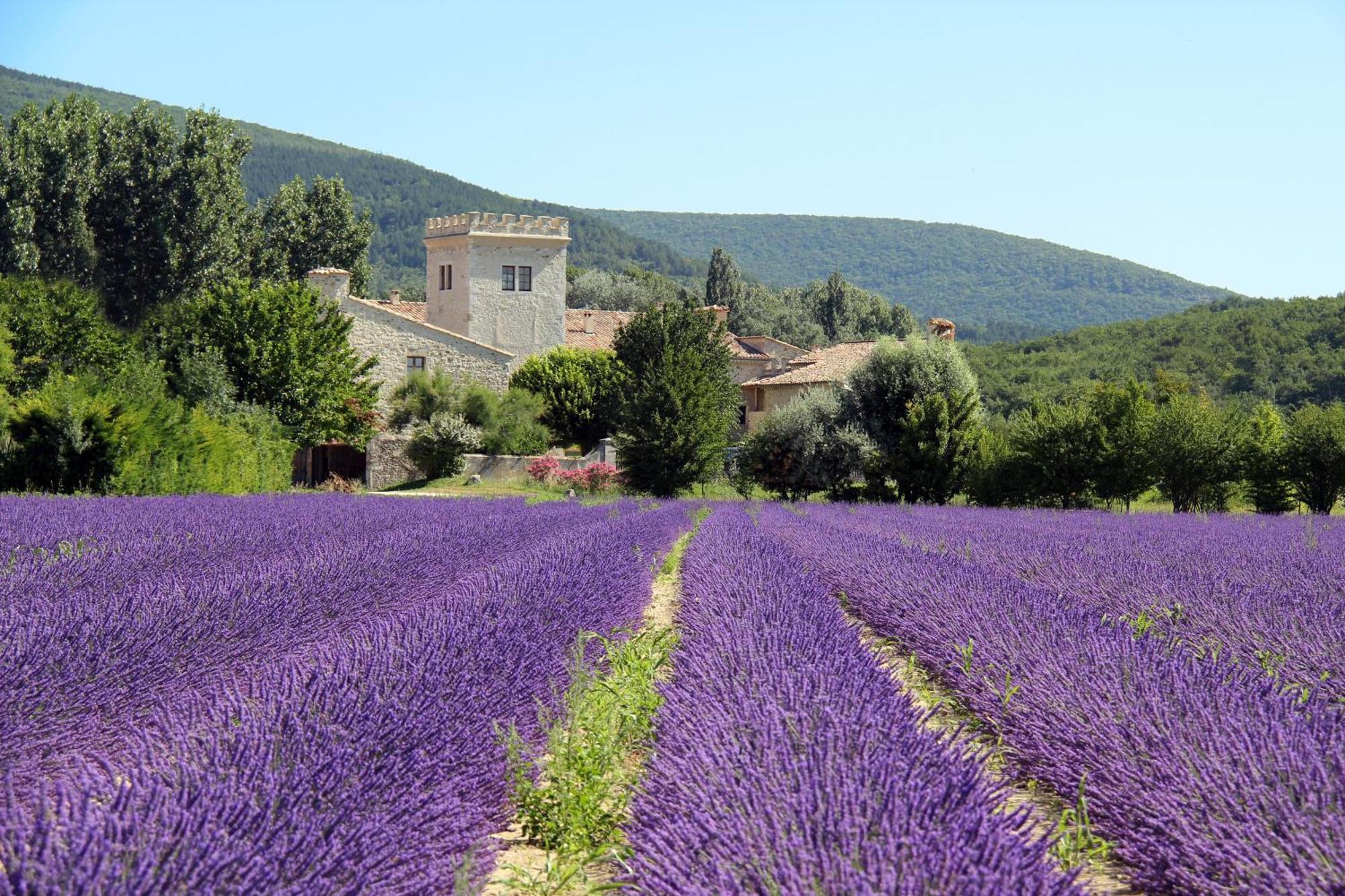 La Colombiere - Vue Imprenable Sur L'Ardeche - Tres Calme - Tres Bien Situe - Residence Privee Montélimar Eksteriør billede