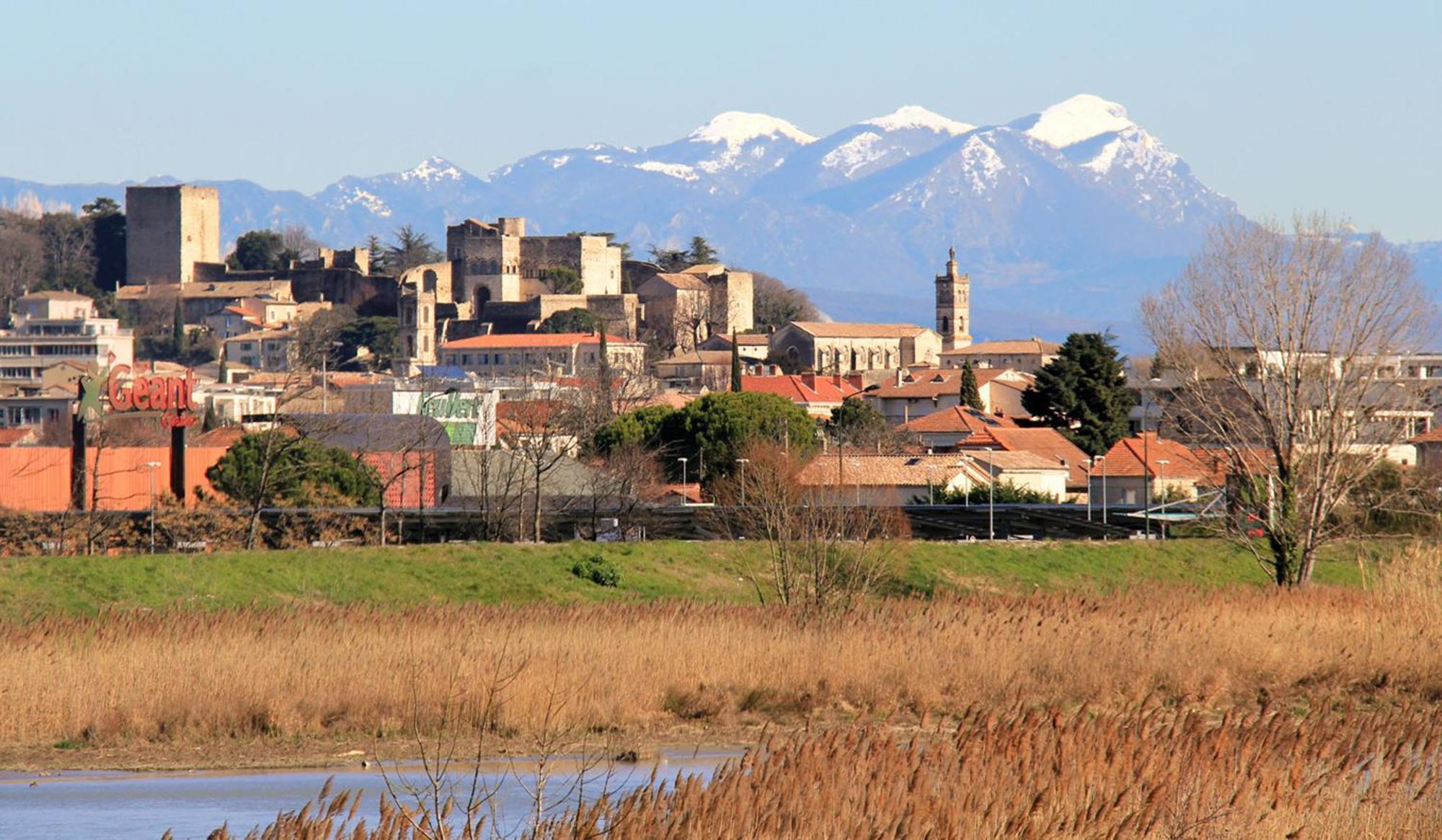 La Colombiere - Vue Imprenable Sur L'Ardeche - Tres Calme - Tres Bien Situe - Residence Privee Montélimar Eksteriør billede