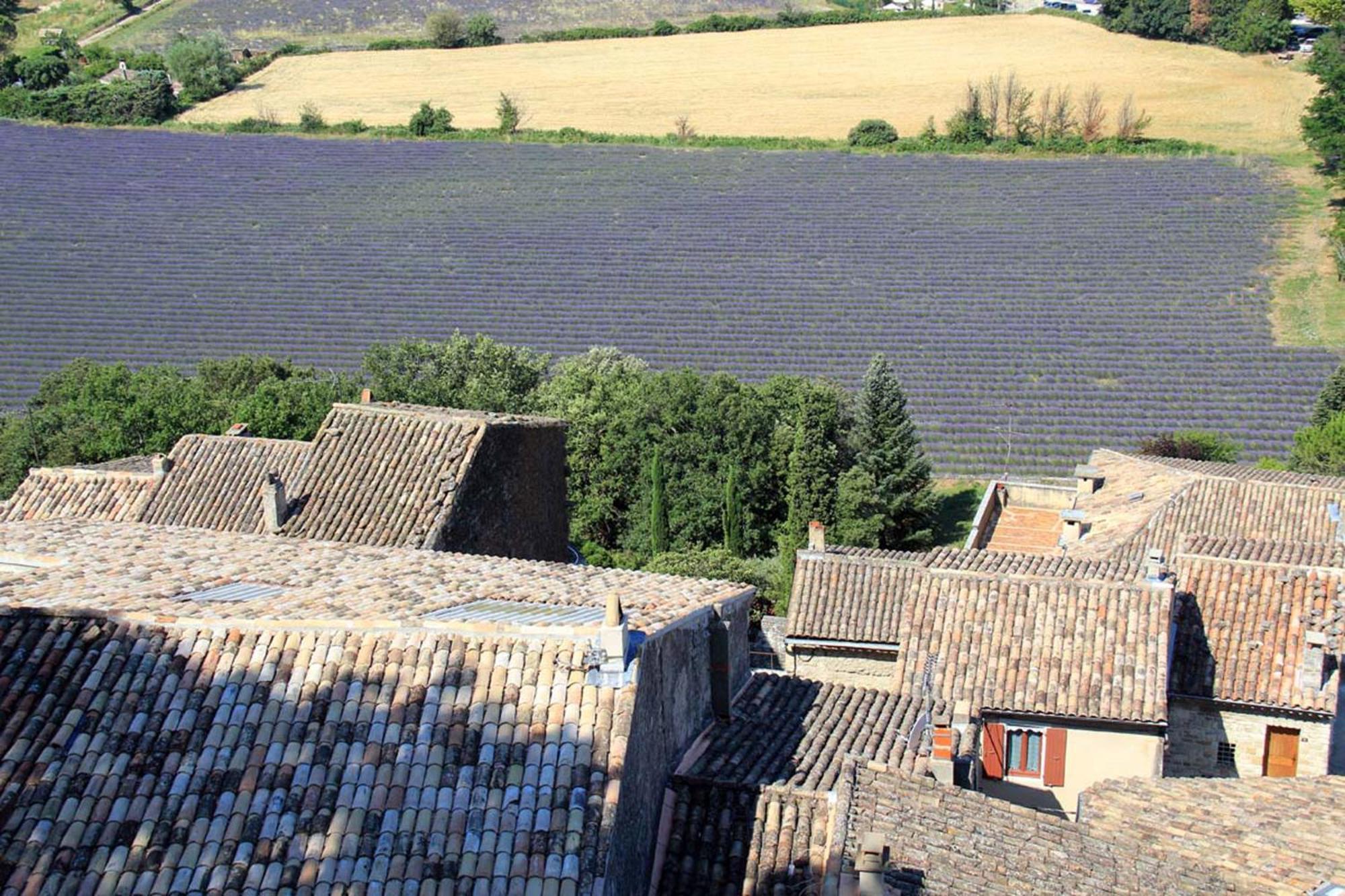 La Colombiere - Vue Imprenable Sur L'Ardeche - Tres Calme - Tres Bien Situe - Residence Privee Montélimar Eksteriør billede
